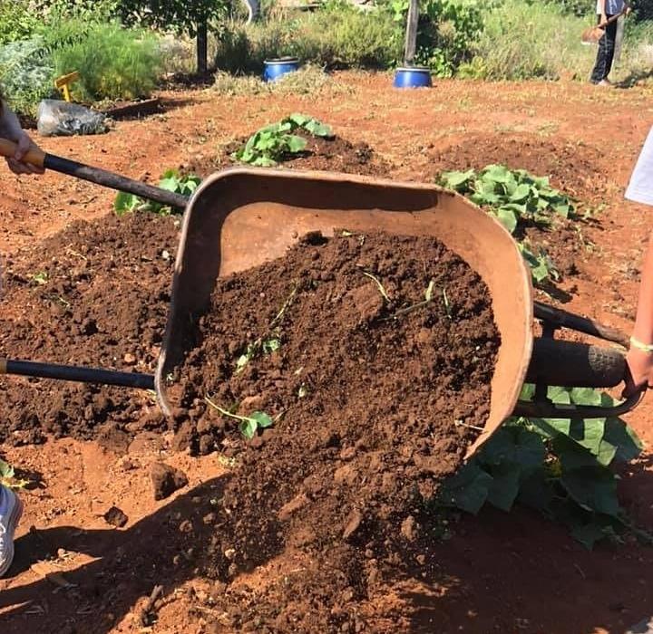 Ações de sensibilização ambiental através de atividades educativas desenvolvidas na sociedade (4)