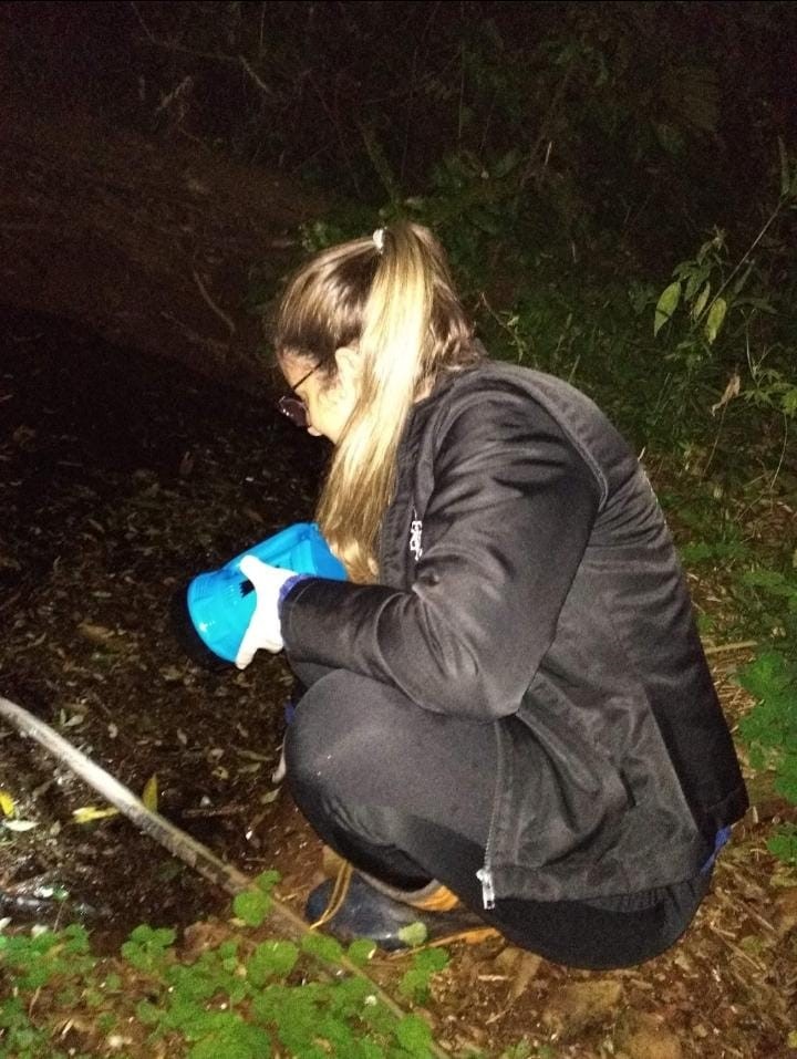 Avaliação de parâmetros físicos, químicos e biológicos de água de abastecimento na região noroeste do Estado do RS