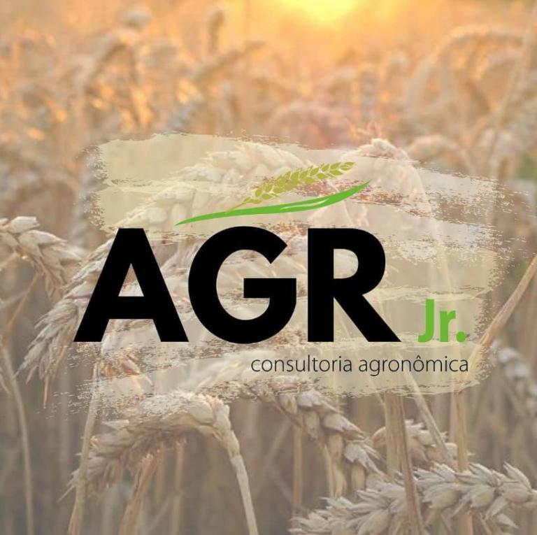 CRIAÇÃO DA EMPRESA JÚNIOR DE AGRONOMIA DA UFSMFW