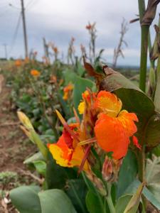 WhatsApp Image 2023-10-05 at 09.22.14