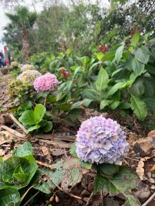 WhatsApp Image 2023-10-05 at 09.26.04