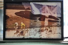 17 Exposição novembro 3