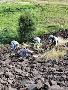 Notícia - Grupo PET Áreas Degradadas por Garimpo (2)
