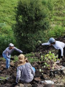 Notícia - Grupo PET Áreas Degradadas por Garimpo (4)