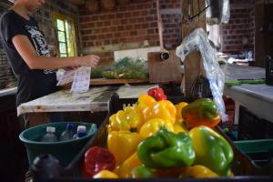 Processo de preparação dos produtos orgânicos para comercialização