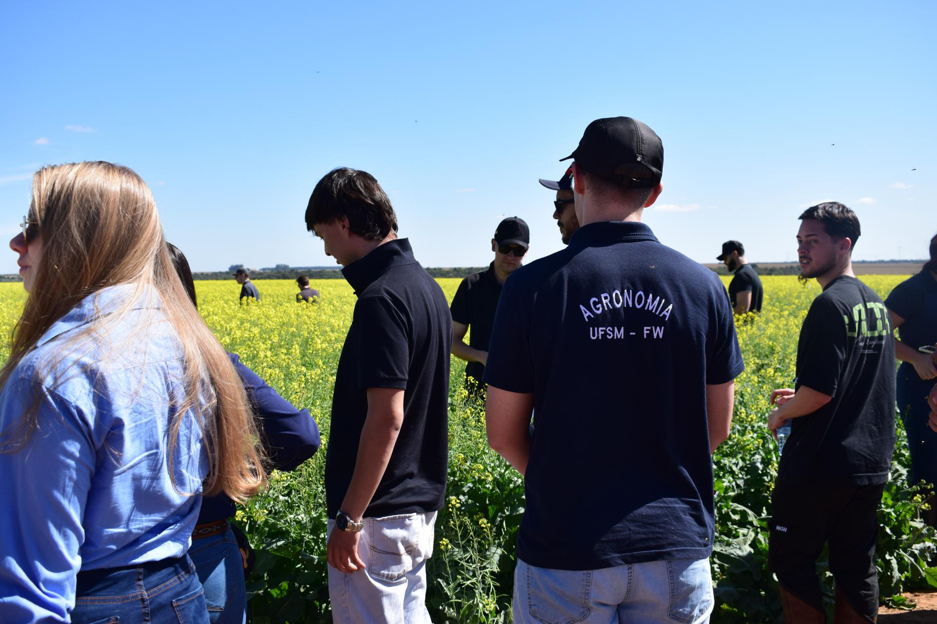 Alunos de agronomia em uma plantação de canola