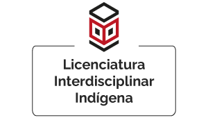 licenciatura_indigena_graduacao (1)