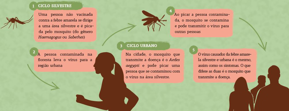 8ª Edicao 3 Sociedade Bugios QUADRO