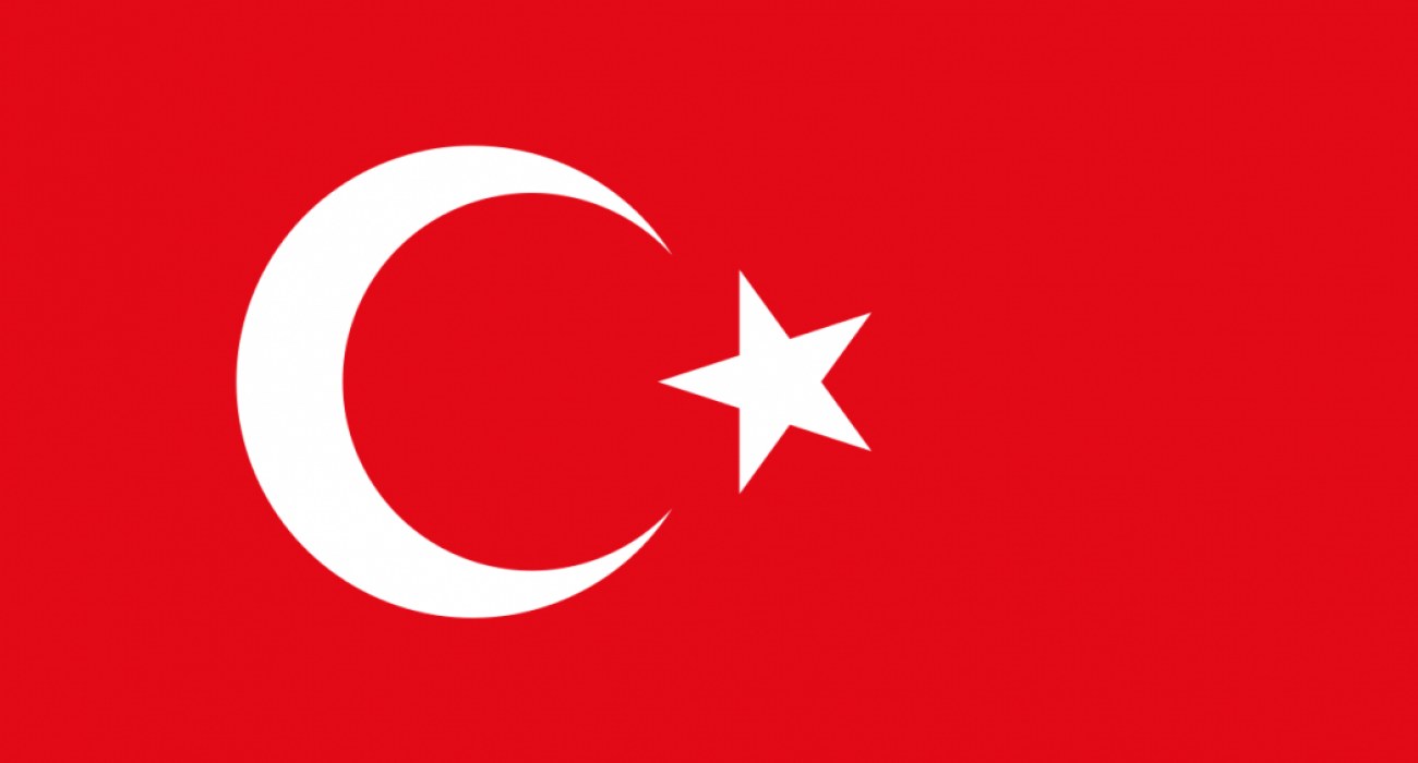 Flag_of_Turkey.svg (1)