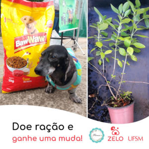 Projeto Zelo e Floresce