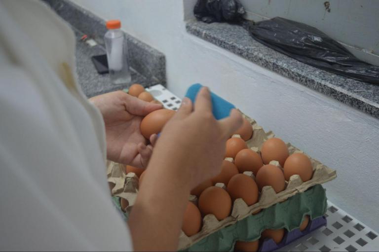 Os ovos são encaminhados para a área suja, onde acontece a seleção, a limpeza e a separação de ovos para descarte