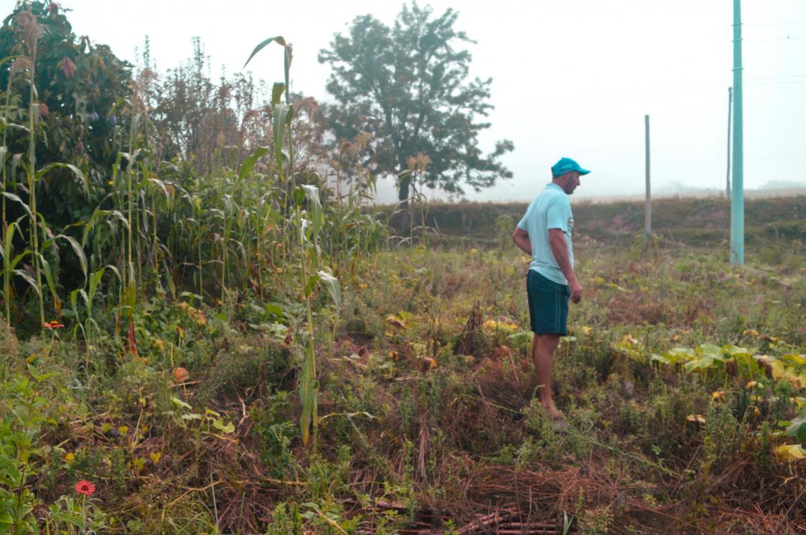 Propriedades rurais de participantes da feira que foram afetadas pela seca. Fotos: Julie Vescia e Eliane Medeiros.