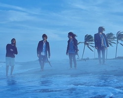 Selvagens à Procura de Lei