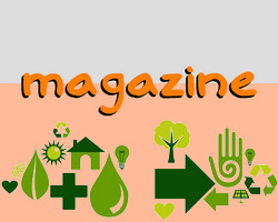 Magazine