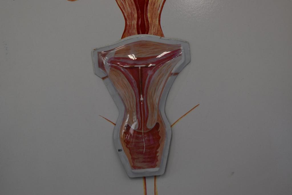 Foto: Bianca Guimarães/Casa Verônica UFSM