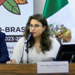 Imagem de capa do card