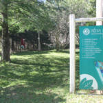 Foto do Jardim Botânico da Universidade Federal de Santa Maria (UFSM)