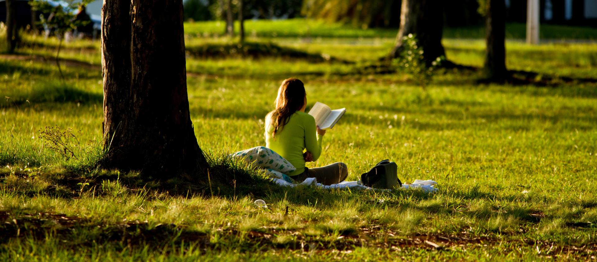 Menina branca sentada em um bosque enquanto lê um livro.
