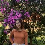 Imagem de capa do card