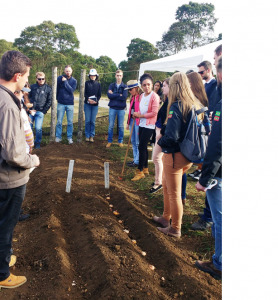 Imagem 1 melhor menor 278x300