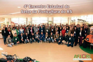 imagem 1 melhor 300x200