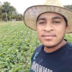 Imagem de capa do card