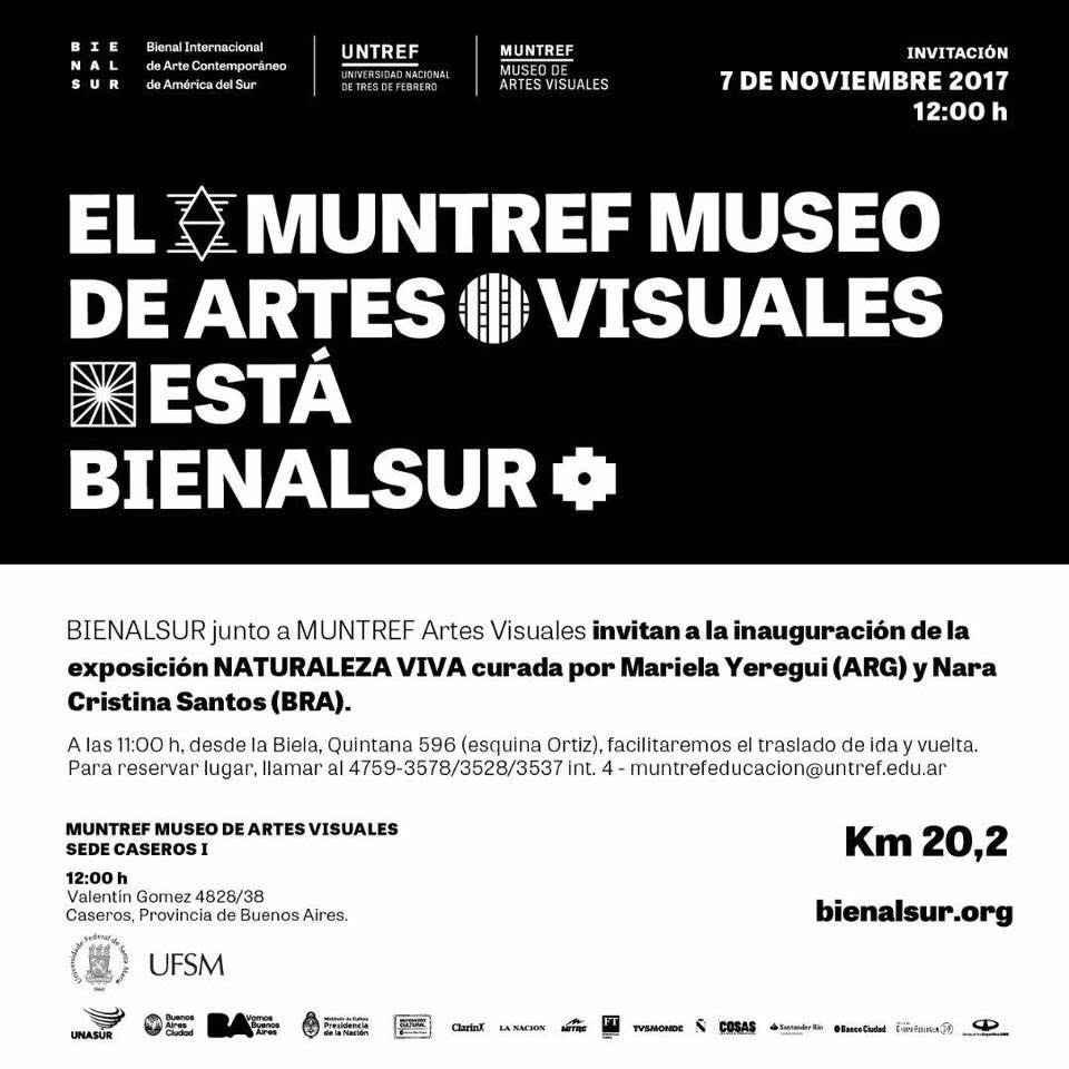 bienalsur