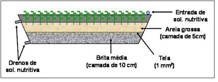 Ilustração esquemática colorida em corte lateral de um sistema fechado de cultivo, evidenciando plantas na superfície sobre camadas internas de areia e brita, além das entradas e drenos de solução nutritiva.