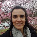 Imagem de capa do card