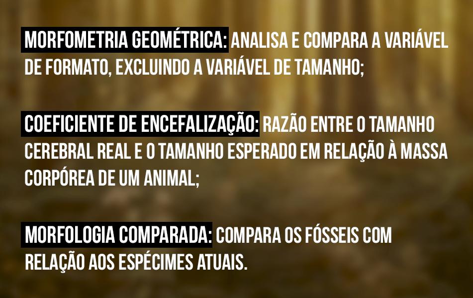 Boz horizontal e colorido. Sobre o box, três blocos de texto. Os textos estão em caixa alta e na cor branca, e os títulos tem fundo preto. O primeiro bloco tem o título "Morfometria geométrica" e o texto: "Analisa e compara a variável de formato, excluindo a variável de tamanho". O segundo bloco tem o título "Coeficiente de Encefalização", e o texto: "Razão entre o tamanho cerebral real e o tamanho esperado em relação à massa corpórea de um animal"; e o terceiro bloco tem o título "Morfologia comparada", e o texto: "Compara os fósseis com relação aos espécimes atuais". O fundo é desfocado, iluminado e em tons de marrom.