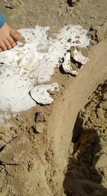 Fotografia vertical e colorida de um pedaço do chão. Há areia ao redor de um pedaço de fóssil branco. No canto superior esquerdo, sobre o fóssil, pedaço de pé de bebê.