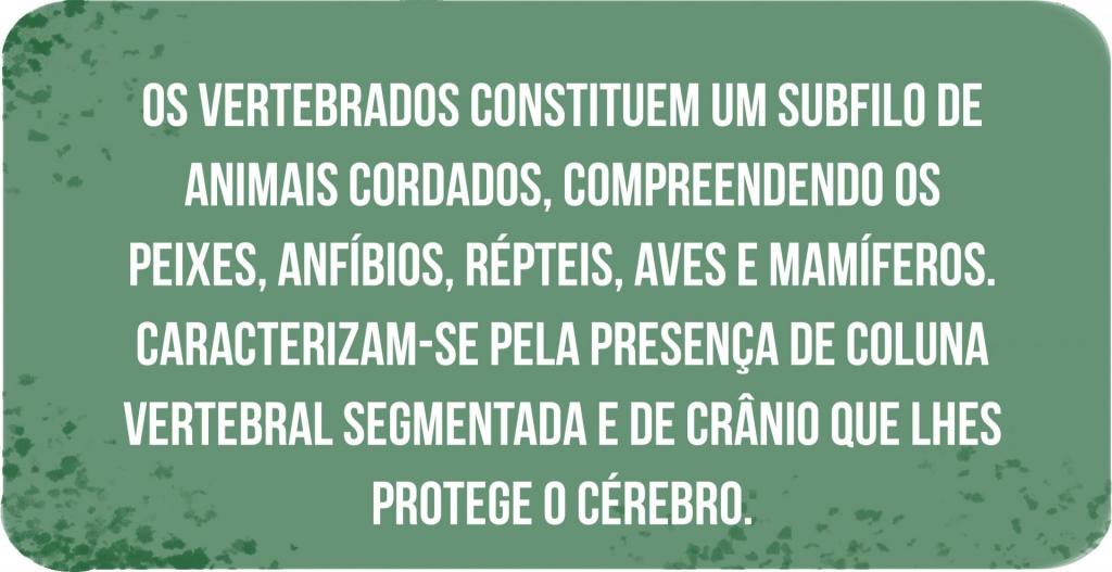 Box horizontal nas cores verde escuro e branco. Em seis linhas, caixa alta e na cor branca, o texto "Os vertebrados constituem um subfilo dos animais cordados, compreendendo os peixes, anfíbios, répteis, aves e mamíferos. Caracterizam-se pela presença de coluna vertebral segmentada e de crânio que lhes protege o cérebro". O fundo é verde escuro com textura.