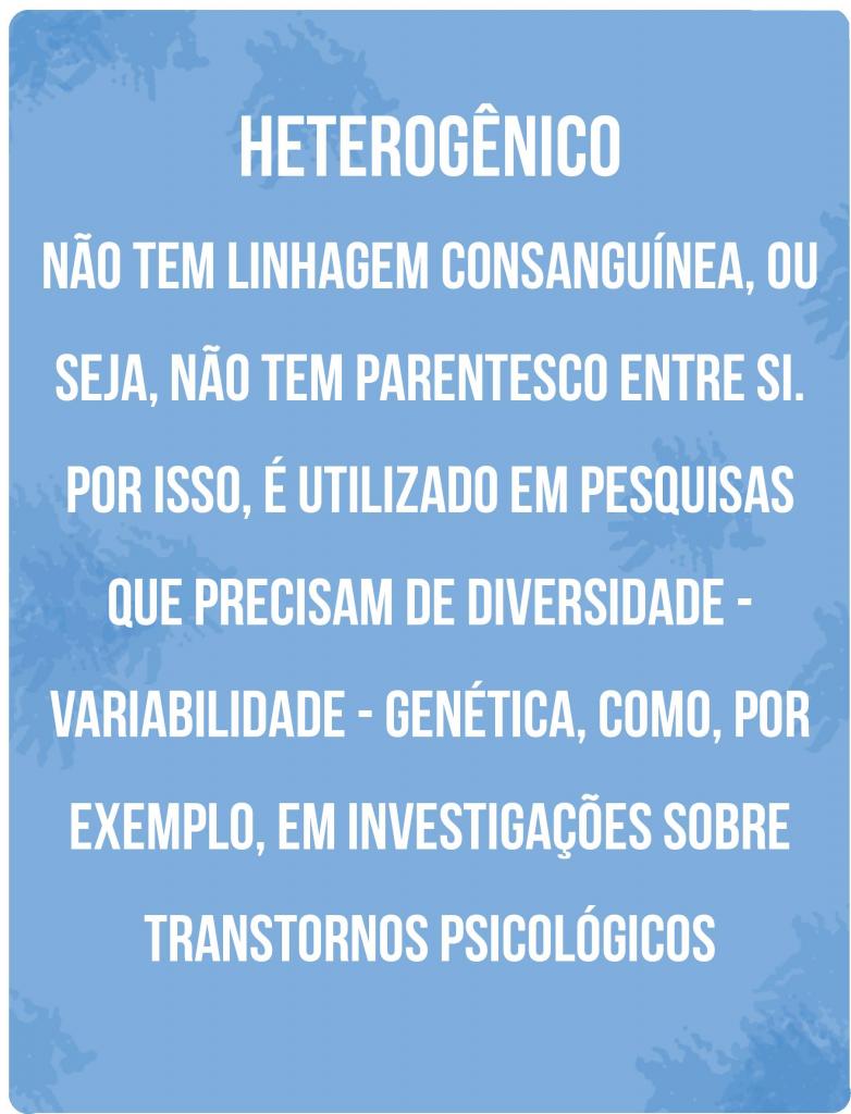 Box vertical e azul claro com texto na cor branca. O texto está distribuído em sete linhas. O título é "Heterogênico". O texto: "Não tem linhagem consanguínea, ou seja, não tem parentesco entre si. Por isso, é utilizado em pesquisas que precisam de diversidade - viabilidade - genética, como, por exemplo, em investigações sobre transtornos psicológicos". O fundo é azul claro.