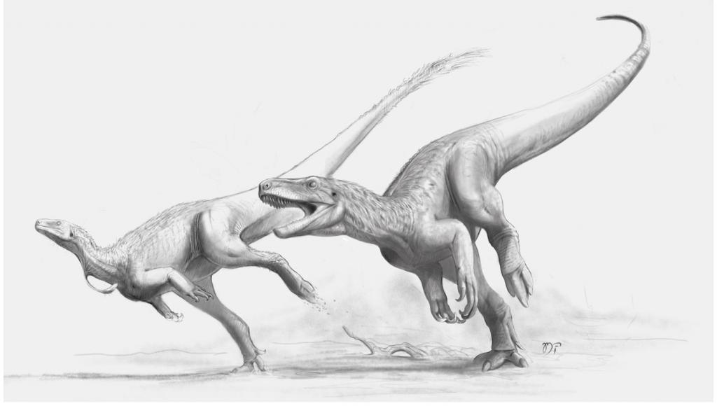 Ilustração horizontal e em tons de cinza de dois dinossauros em movimento. Eles estão sobre água. O primeiro, na esquerda, é do tipo Gnathovorax, está em pé sobre duas patas, tem corpo alongado, cauda grossa e cabeça pequena, e tem penugem na parte do pescoço. O outro, na direita da imagem, é do tipo Saturnalião, é um dinossauro alongado, comprido e robusto, está em pé sobre duas patas e tem outras duas pendentes; tem cauda alongada e grossa e cabeça grande.