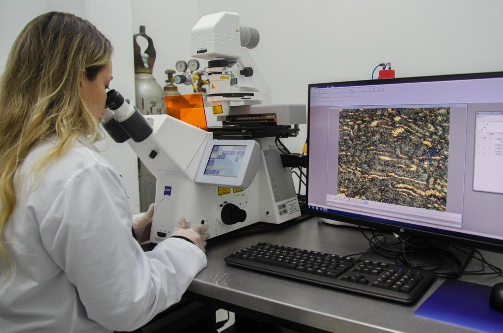 Descrição da imagem: fotografia horizontal e colorida de uma mulher que olha por um microscópio. Ela está na esquerda da imagem, de perfil direito em um ângulo lateral; tem pele branca, cabelos loiro escuros, ondulados e compridos; veste jaleco branco e usa luvas brancas descartáveis. O microscópio é branco e tem um visor com informações. Ao lado, monitor de computador com a imagem do microscópio em tamanho grande. A imagem é uma textura com tons de verde musgo, amarelo pastel e um pouco de azul marinho. Em frente ao monitor, um teclado preto. O fundo em uma parede branca.