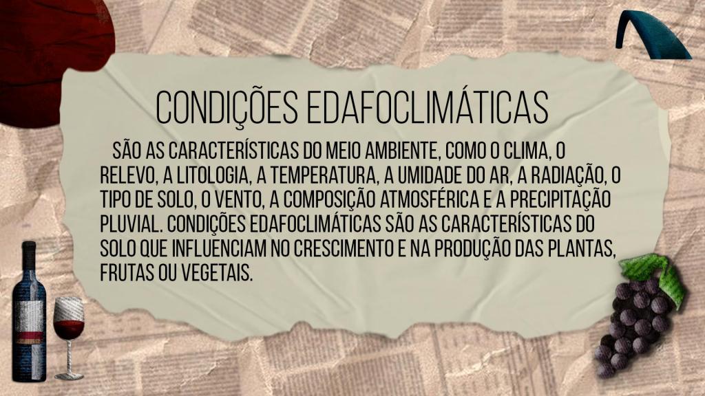 Descrição da imagem: Box horizontal e colorido. No centro da imagem, sobre pedaço de papel rasgado, o texto: "Condições edafoclimáticas - são as características do meio ambiente, como o clima, o relevo, a litologia, a temperatura, a umidade do ar, a radiação, o tipo de solo, o vento, a composição atmosférica e a precipitação pluvial. Condições edafoclimáticas são as características do solo que influenciam no crescimento e na produção das plantas, frutas ou vegetais". No canto superior esquerdo, círculo bordô. No canto inferior esquerdo, garrafa azul marinho e taça transparente com líquido vermelho. No canto superior direito, arco azul marinho. No canto inferior direito, cacho de uva roxo. O fundo é bege, com textura de recortes de jornal amassados e desfocados.