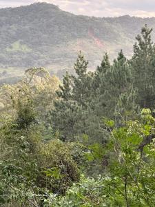 WhatsApp Image 2024-06-11 at 10.25.30 (4)