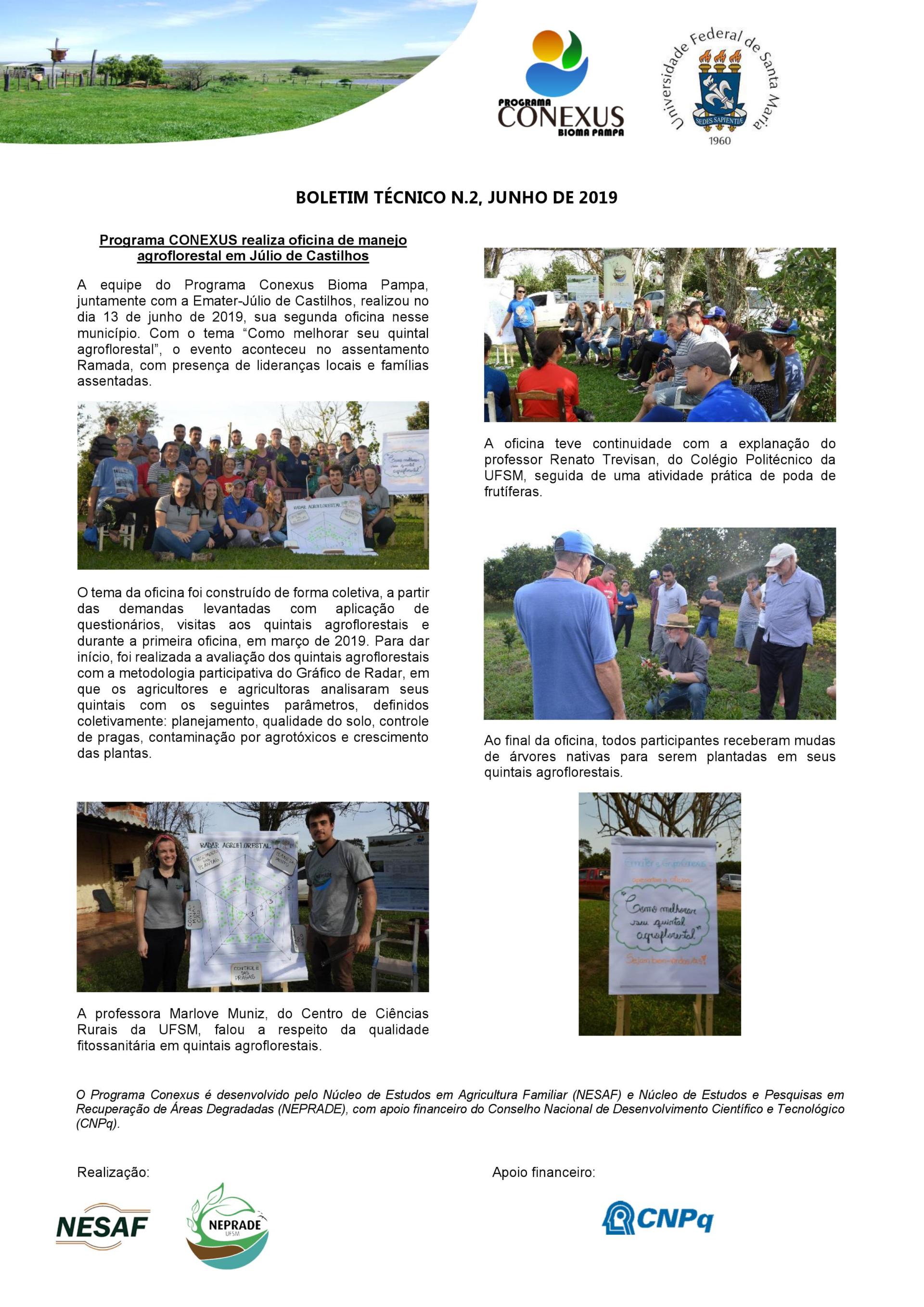 boletim informativo 02