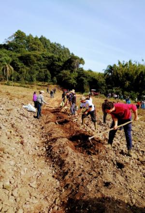 WhatsApp Image 2019-07-12 at 11.56.28