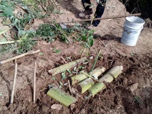 WhatsApp Image 2019-07-12 at 11.57.53