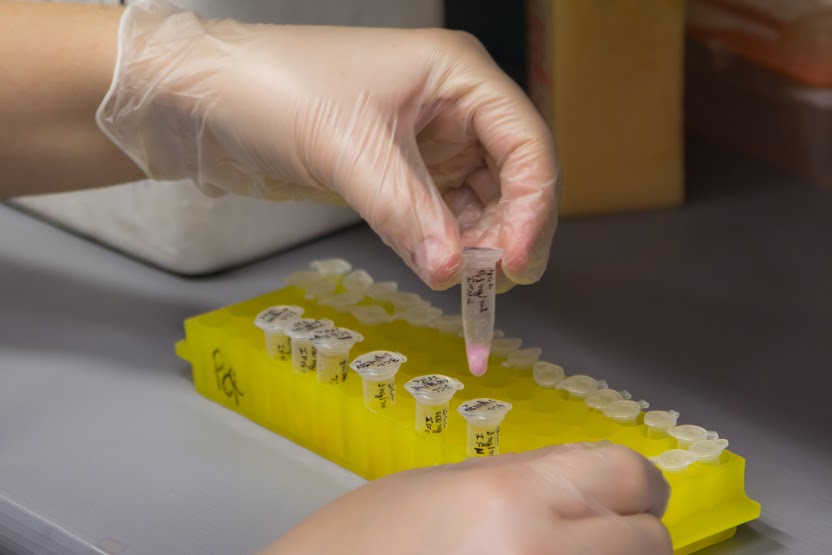 Sala de Extração – BIOREP