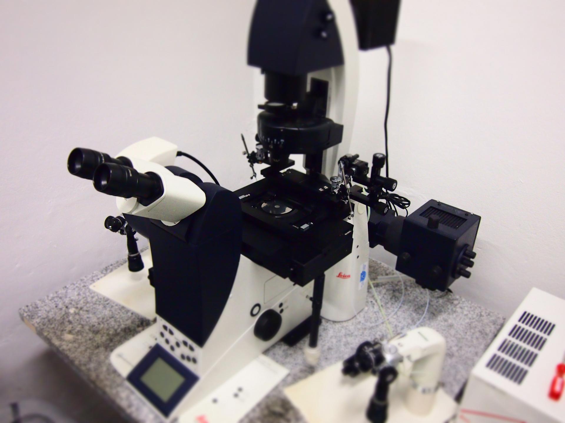 Microscópio de Fluorescência LEICA DMI 4000B