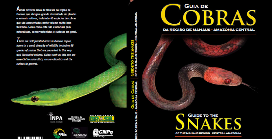 NOÍCIA | Guia de Cobras