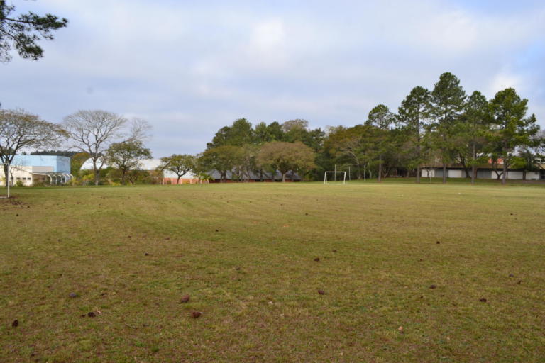 Campo de futebol com área arborizada no fundo.