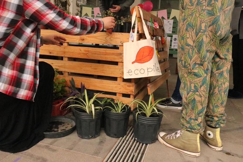 Foto horizontal; predominantemente laranja;  um estande dos objetos de troca do Escambo Solidário; pessoa acocorada usando camiseta xadrez e saia preta com o braço estendido para o estande de objetos de troca, na sua frente uma estante de pallets com plantas em em cima além de uma ecobag e acessórios pendurados no pallet, ao seu lado vários vasos pretos com  plantas nas cor verde outra pessoa da cintura para baixo com calça e tênis verdes olhando os objetos expostos no Escambo Solidário; no fundo bandeiras de São João  nas cores rosa e amarela  e outras duas pernas aparecem na foto,  outras duas pessoas presentes