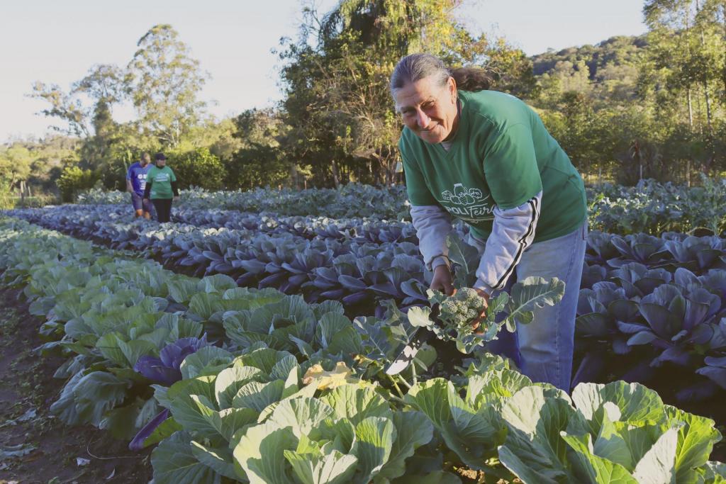 Fotografia na vertical, colorida. Uma mulher, de pele branca, idosa, curvada em meio a uma extensa plantação de verduras, segura um brócolis nas mãos. Ela tem cabelos brancos e loiros presos em um rabo de cavalo para trás, olhos verdes,  seu rosto tem rugas e o formato é oval. Está com os olhos entreabertos, sorrindo sem mostrar os dentes. Veste um moletom branco com duas listras pretas nas mangas, sobre o moletom veste uma camiseta  verde com a escrita “Polifeira” em branco.