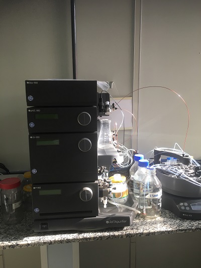 Sistema Cromatografia AKTA