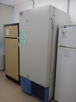 ultrafreezer vertical