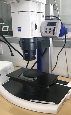 3. Estereomicroscopio