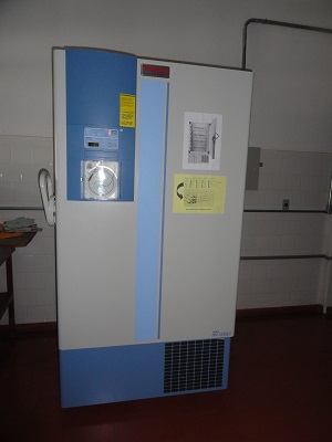 Ultrafreezer vertical